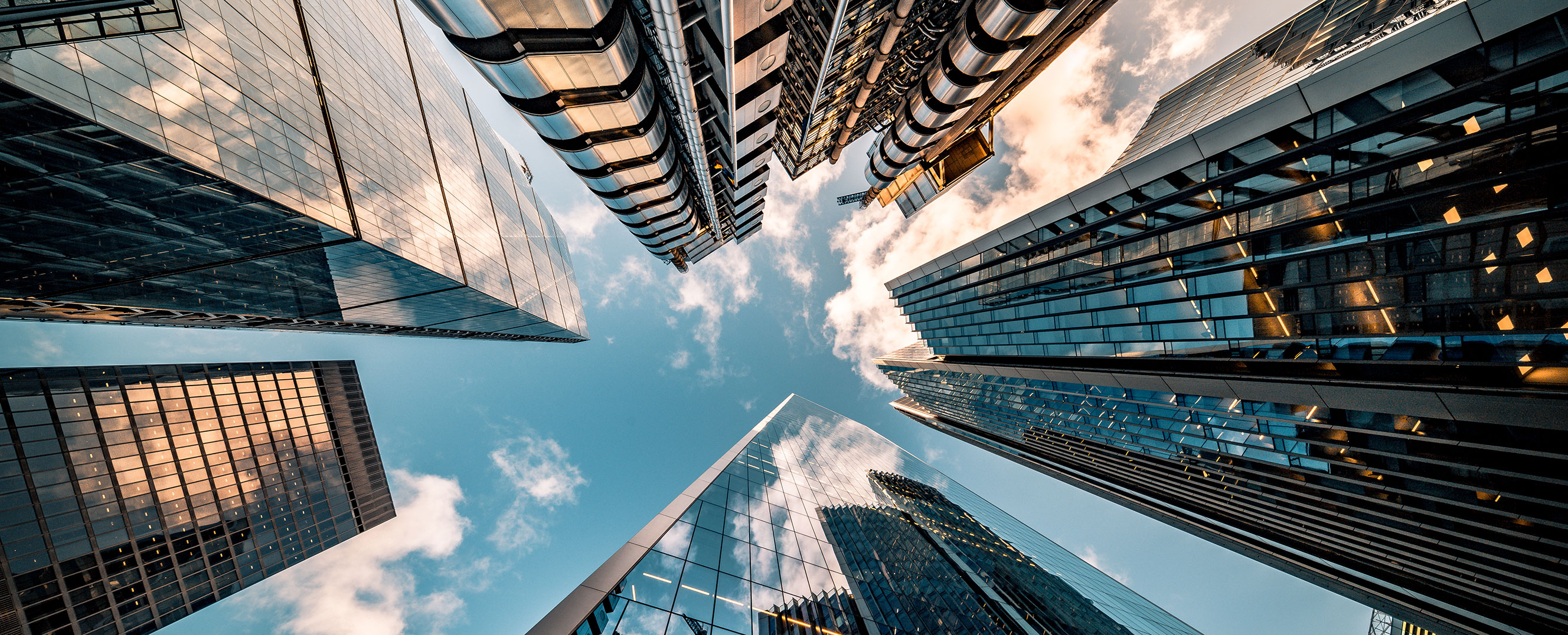 (Фото: Nicolay Pandev/iStock by Getty Images)