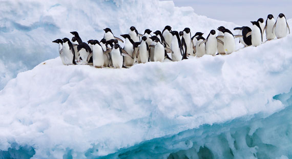 (PHOTO: MICHAEL NOLAN/ NEWSCOM)