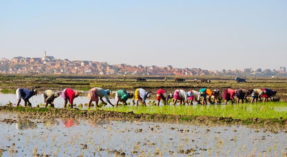 (photo: Hajakely/iStock by Getty Images)