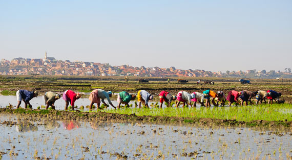(photo: Hajakely/iStock by Getty Images)