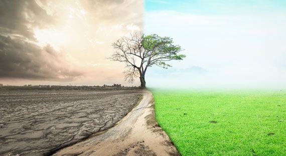 (الصورة: Boonyachoat/iStock by Getty Images)