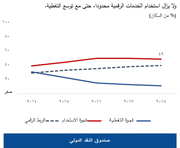 لا يزال استخدام الخدمات الرقمية محدودا، حتى مع توسع التغطية