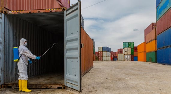 (Фото: Aydinmutlu/iStock by Getty Images) 