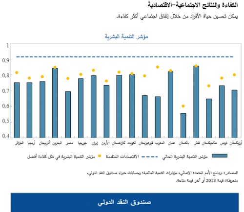 الكفاءة والنتائج الاجتماعية-الاقتصادية