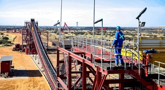 （图片：Sunshine Seeds by Getty Images）