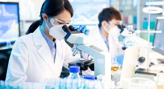 (Photo : Ponywant/iStock by Getty Images)