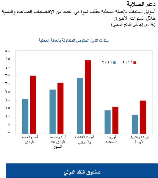 أسواق السندات بالعملة المحلية حققت نموا في العديد من الاقتصادات الصاعدة والنامية خلال السنوات الأخيرة.