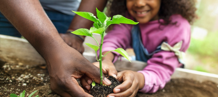 الصورة: P FangXiaNuo/iStock by Getty Images))