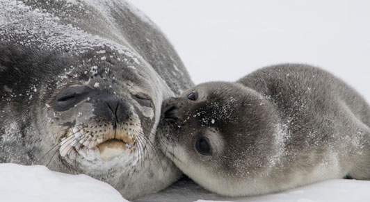 خمسة أشياء ينبغي أن تعرفها عن الصندوق وأهداف التنمية المستدامة