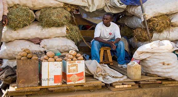 Fotografia: FrankvandenBergh/iStock by Getty Images