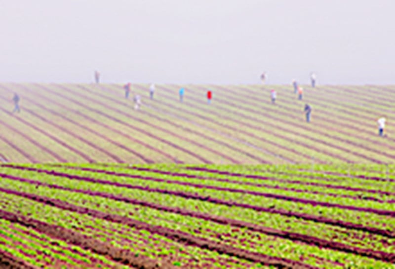 The pandemic is crippling economies across the globe but for many countries, the economic shock will be magnified by the loss of remittances—money sent home by migrant and guest workers employed in foreign countries.