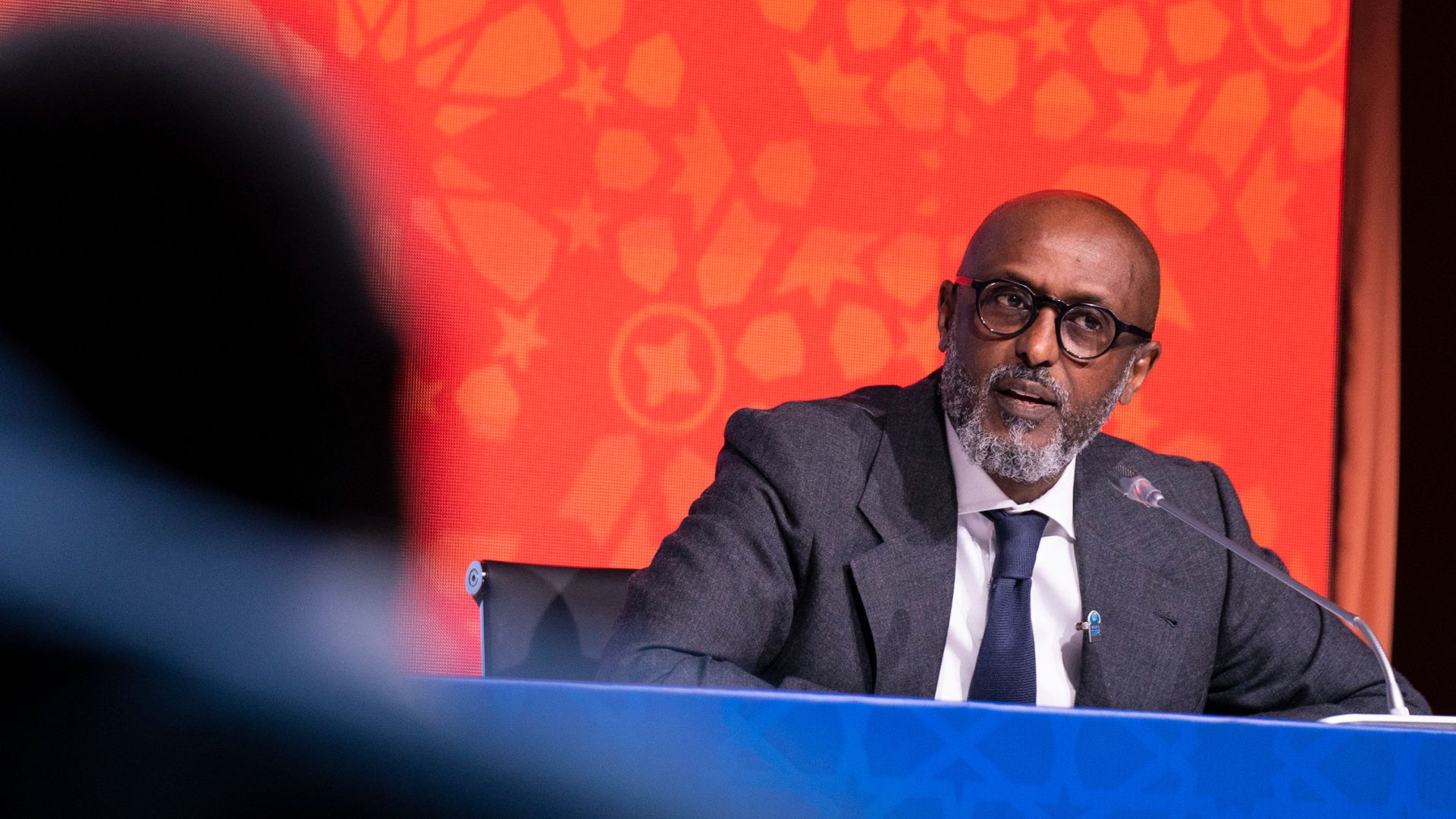 Sub-Saharan Africa Regional Economic Outlook