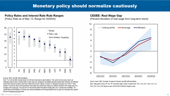 Speech by Alfred Kammer, Director, European Department of the IMF -- Slovenia -- Chart 11