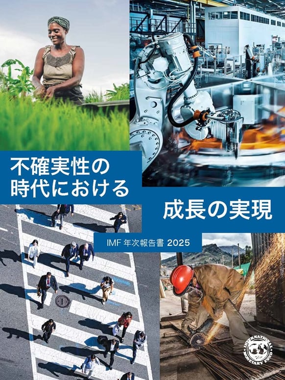 japanese-imf-annual-report-2025-cover-thumbnail