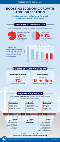 Infographic SME financial inclusion medium