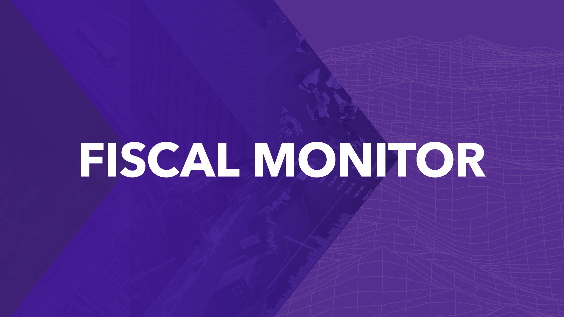 Fiscal Monitor April 2025