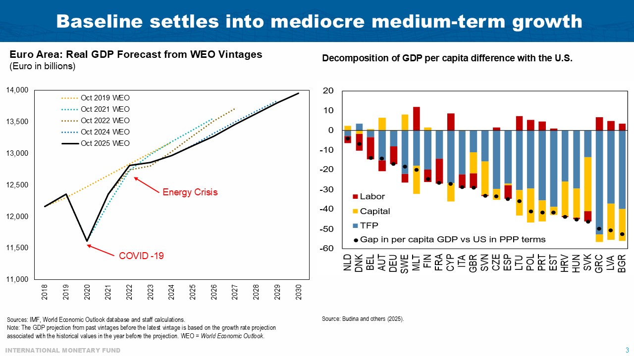 Alfred Kammer, Director, IMF European Department; Making European Reforms a Success on the Ground, November 13, 2025