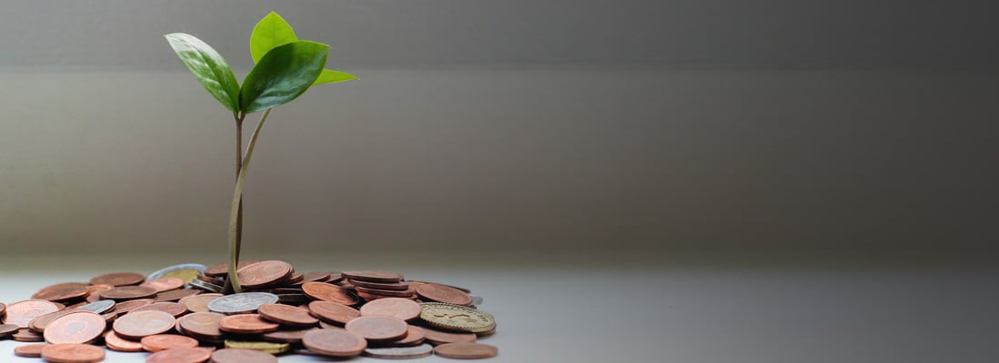 Photo by Micheile Henderson on Unsplash