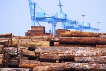 Cameroon: What Next After Debt Relief? 