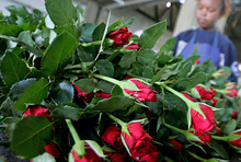 Africa: Sustaining the Momentum 