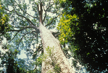 Signs World Can Meet Climate Challenge