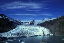 The Economics of Climate Change 