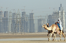 Putting Financial Globalization to Work