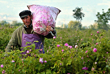 Technology Widening Rich-Poor Gap 