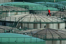 Record Oil Prices Unlikely to Dent World Growth Much 