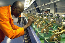 Southern Africa: Adapting to Shocks 