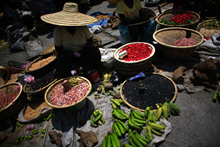 IMF Plans Additional Help for Haiti