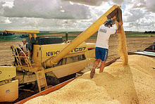 Ministers Resolve to Counter Slowdown, Combat Food Hikes