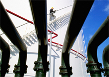 Wealth Funds Group Publishes 24-Point Voluntary Principles 