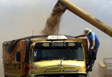 Some Climate Policies Worsen Food Problems, Panelists Say 