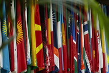 IMF Reform Secures Backing By Wide Margin