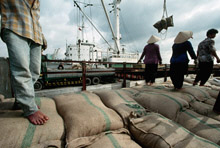 Policy Response: How Countries Can Cope 