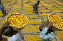 IMF Watching Out for Poor in Crisis Loan Talks