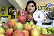 Need to Invest More in the Food Supply Chain 