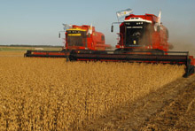 Commodity Price Moves and the Global Economic Slowdown 