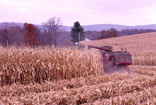 Commodity Price Boom, Better Policies Spur Globalization 