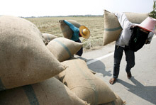 Oil and Food Prices Expected to Ease Only Moderately 