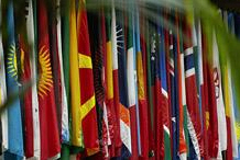 IMF Casts Doubts on TB Study 