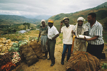 Haiti Gets $36 Million in New IMF Financing