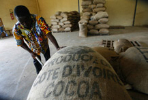 IMF Steps Up Help to Africa to Combat Crisis 