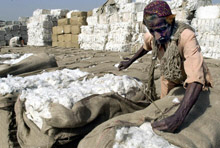 IMF to Lend Pakistan $3.2 Billion More to Support Social Costs, Build Reserves