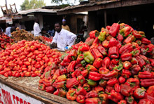 IMF Builds Statistical Capacity in Africa 