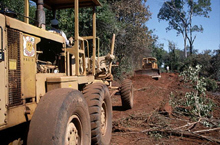 Africa Needs New Engines to Drive Post-Crisis Growth 