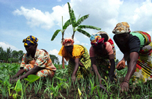 Democratic Republic of the Congo Gets $551 Million IMF Loan 