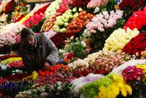 Policy Adjustments Move Ukraine Forward 