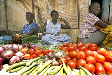 Global Slowdown Damages Progress in Low-Income Countries 